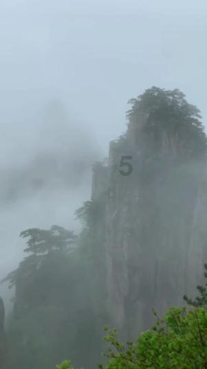 万词王