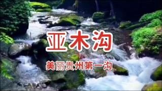 我想问冰箱才用一年密封条就开始消磁了,温控器换了,每个月都做保养都还是不行。奥铃冰箱太差了-专业有问必答平台